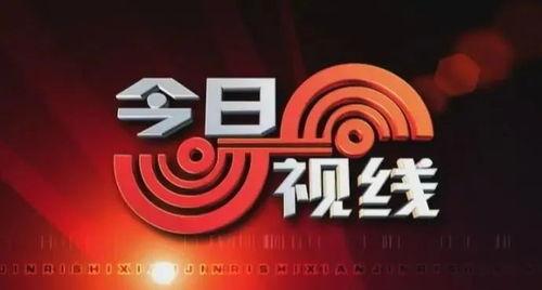 如何爆料今日视线的人员,深度剖析爆料人员背后的故事