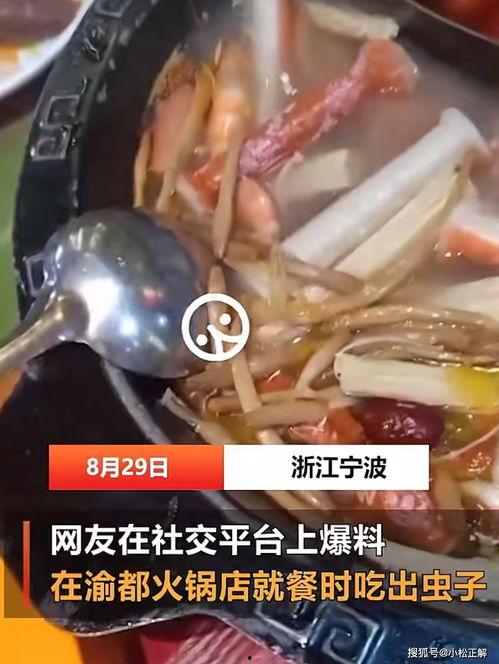 吃虫子爆料视频,吃虫子挑战背后的真实内幕