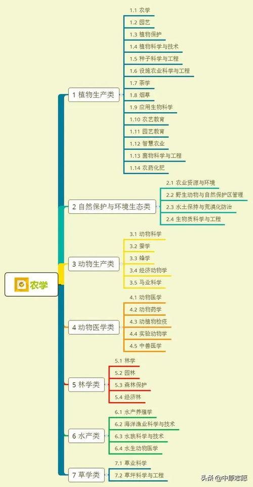 大熊爆料周易视频大全集,周易视频大全集深度解析