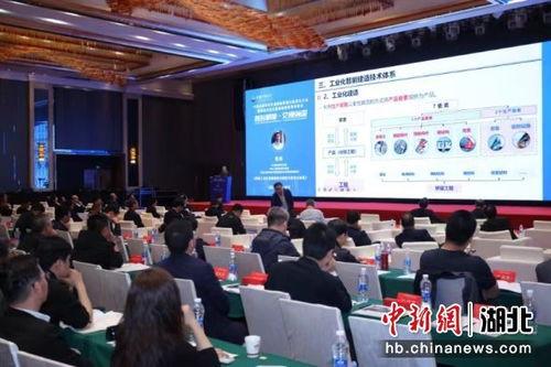 武汉学术会议爆料新闻