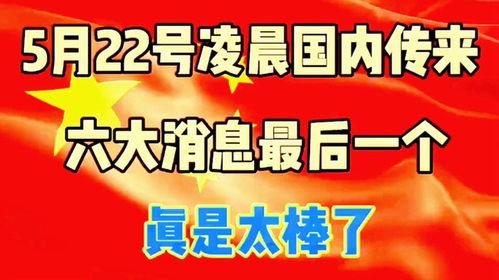 爆料新鲜事最新消息,揭秘娱乐圈最新热点事件