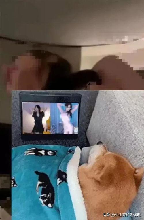 唐山爆料小伙事件视频,一场引发社会关注的暴力冲突