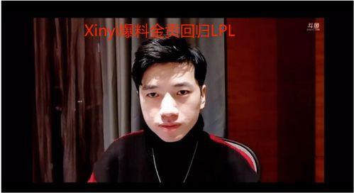 策划八哥爆料视频,视频内容深度解析