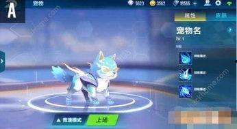 飞车手游最新宠物爆料点,神秘力量觉醒，速度与激情再升级！