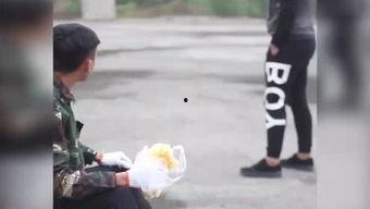 网友爆料虫子视频,揭秘自然界未知生物之谜