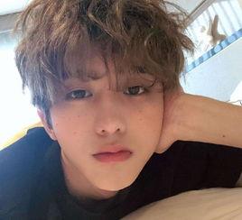 圈内人士爆料白鹿蔡徐坤,神秘项目引热议