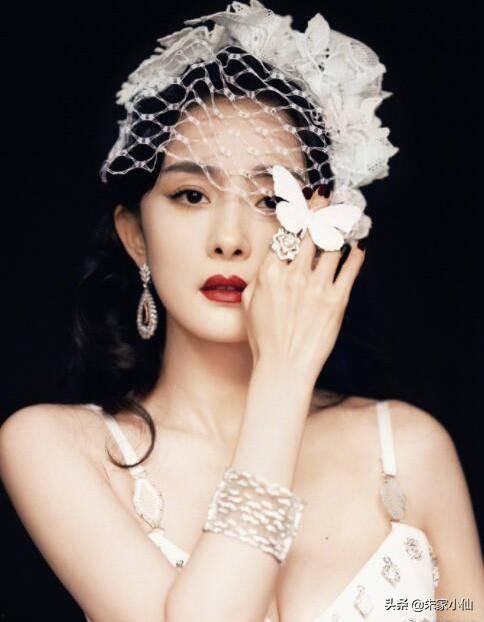 四字弟弟娱乐吃瓜君